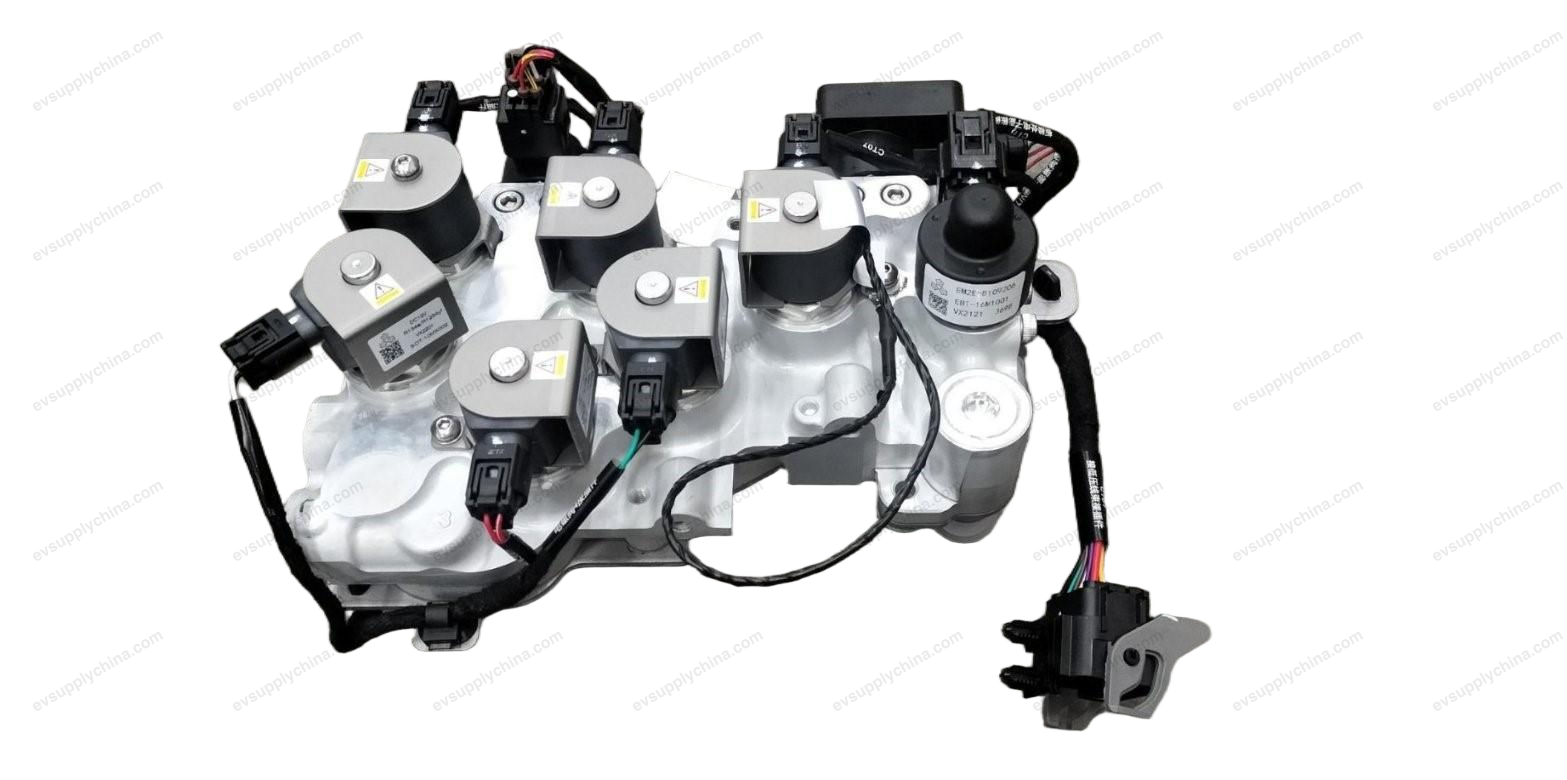 Thermal Management Integrated Module — BYD Dolphin