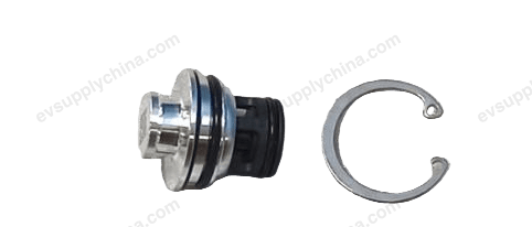 one-way valve — Denza D9