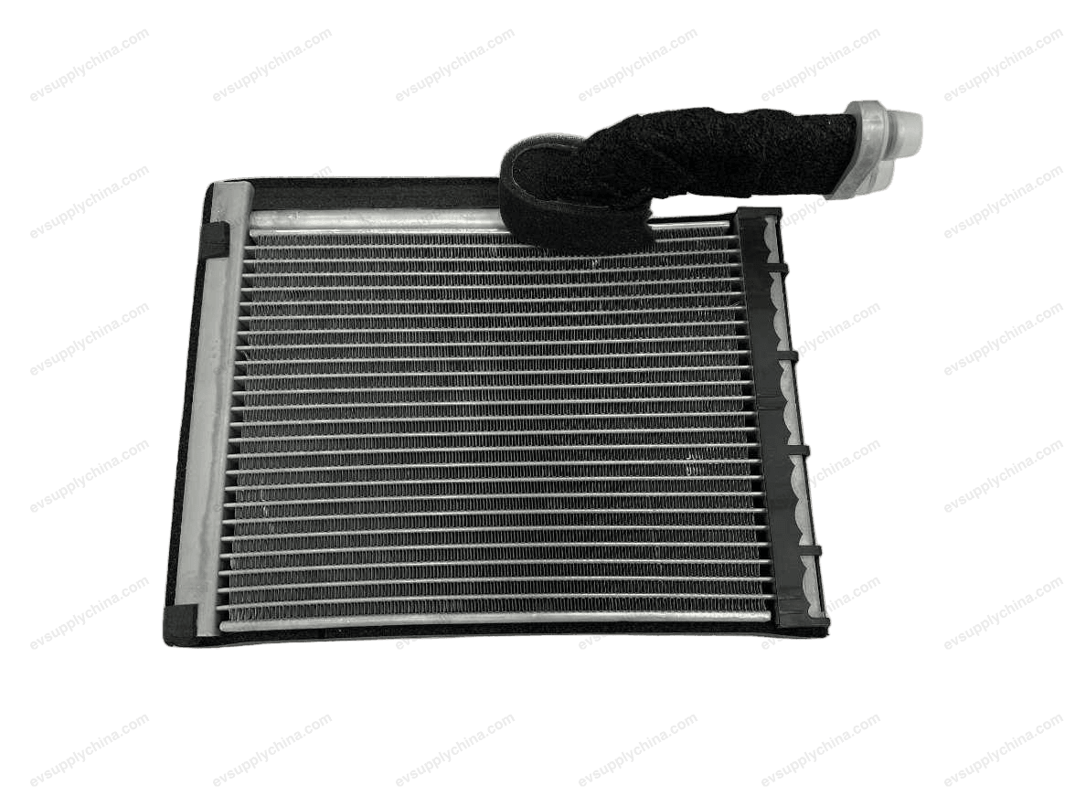 Rear Evaporator Assembly — Denza D9