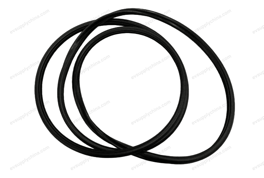 Sunroof glass sealing strip — Denza D9