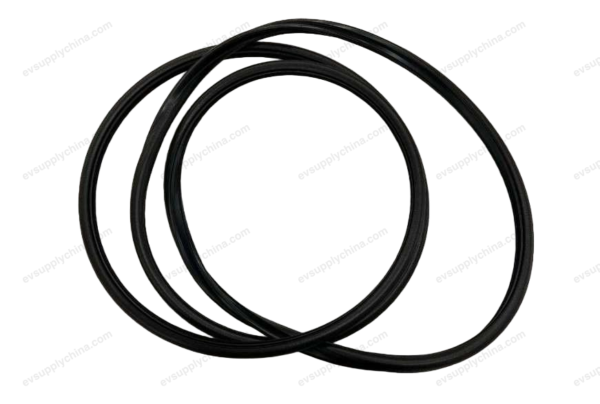 Sunroof glass sealing strip — Denza D9