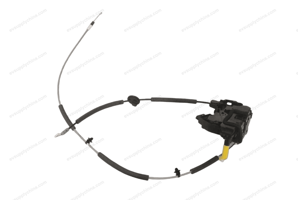 Left front door lock body