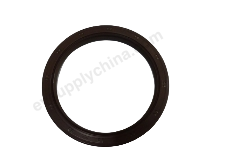 Crankshaft rear oil seal assembly