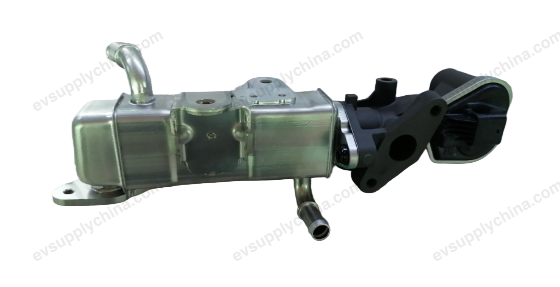 EGR valve single valve — BYD Destroyer 05
