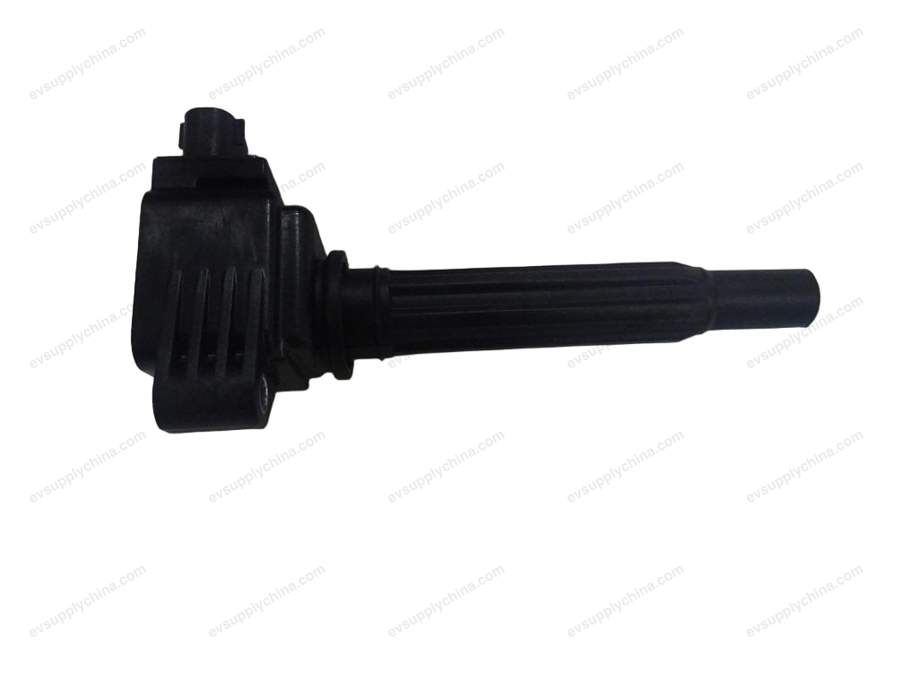 ignition coil — BYD Destroyer 05