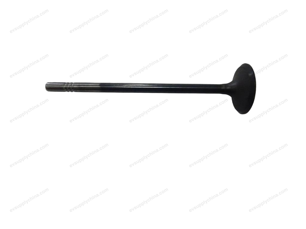 intake valve