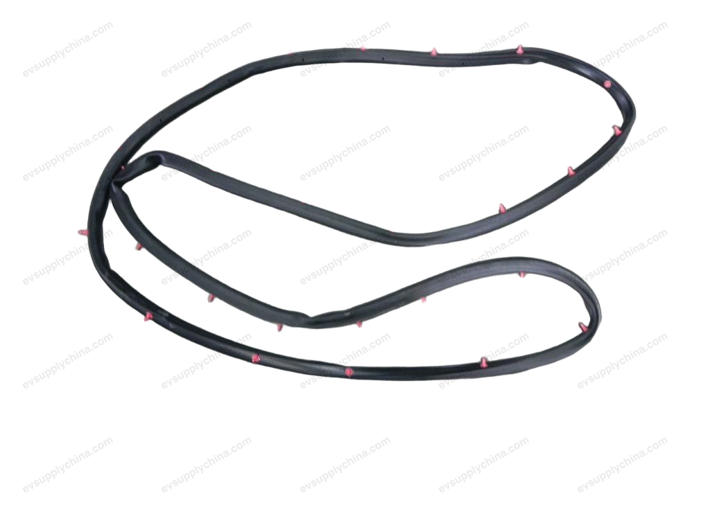 Left rear door sealing strip — BYD Destroyer 05