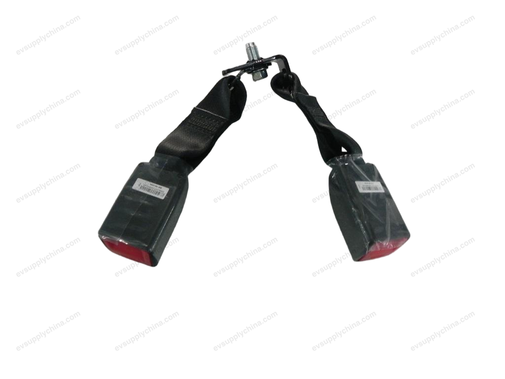 Rear center seat belt — BYD Destroyer 05