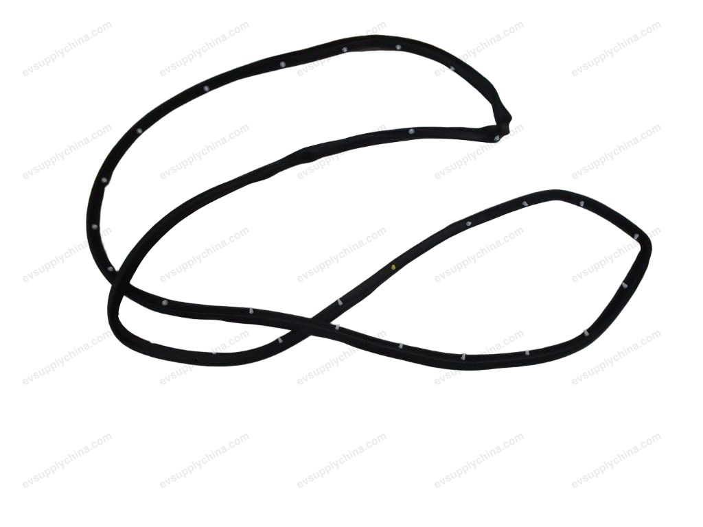 Left front door sealing strip — BYD Han DM-i
