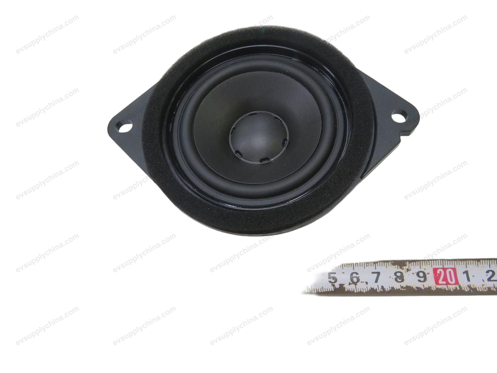 Center speaker — BYD Han EV