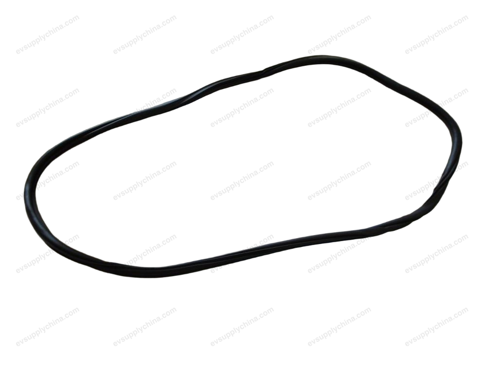 Left rear door frame sealing strip — BYD Han EV