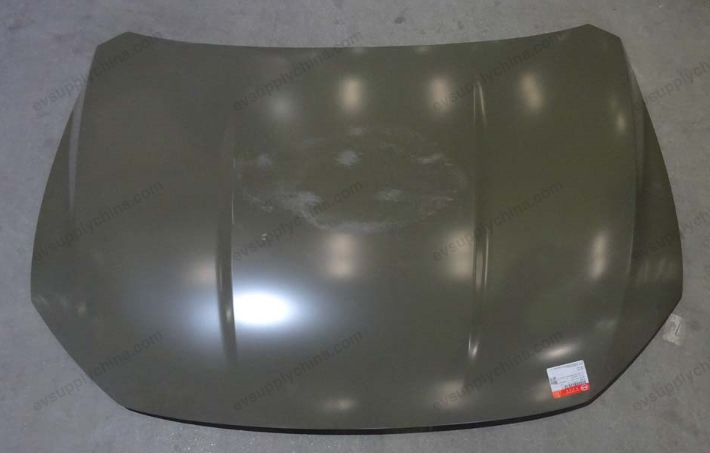 Hood — BYD Qin EV