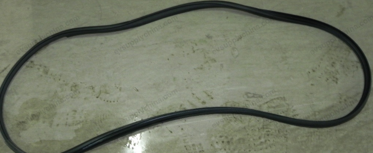 Left front door frame sealing strip — BYD Qin EV