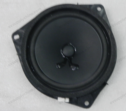 Subwoofer — BYD Qin EV