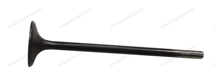 Intake valve — BYD Qin L DM-i