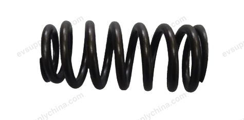 Valve springs — BYD Qin L DM-i