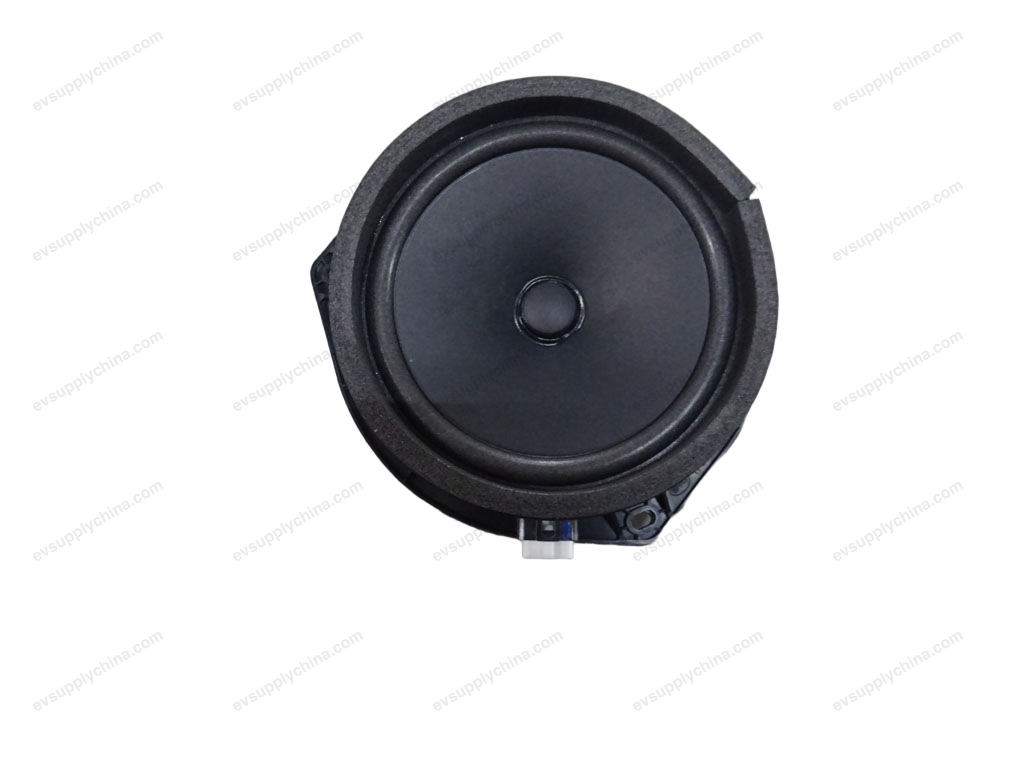 Front door subwoofers — BYD Qin Plus DM-i