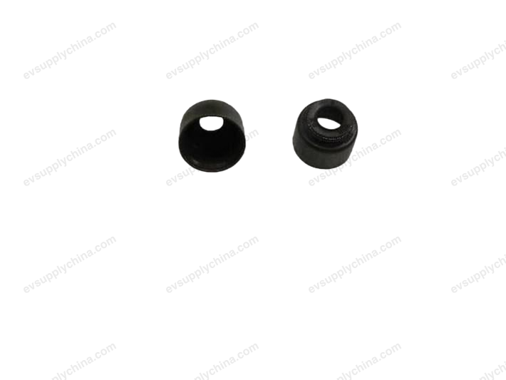 Exhaust valve oil seal — BYD Qin Plus DM-i (Gen 2)
