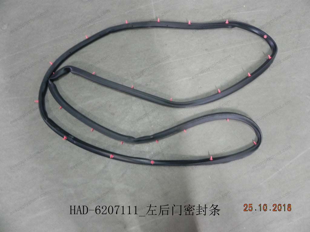 Left rear door sealing strip — BYD Qin Plus DM-i (Gen 2)