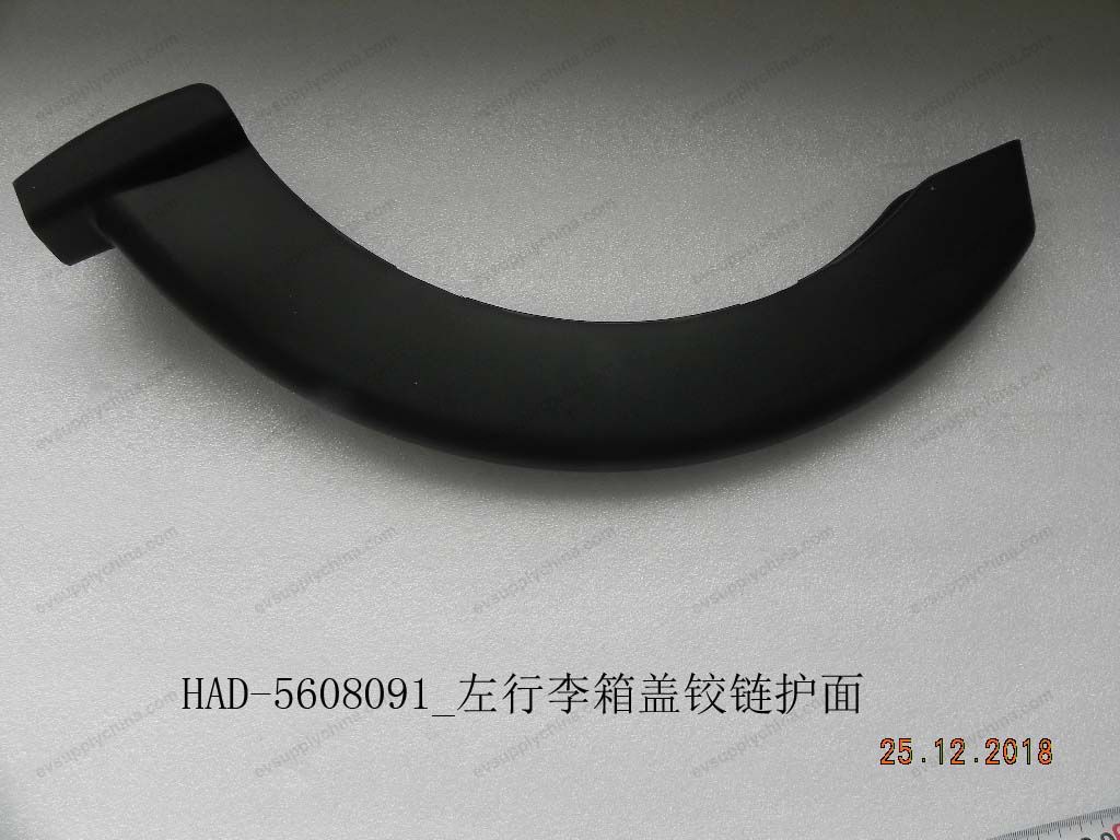 Left trunk lid hinge protector — BYD Qin Plus DM-i (Gen 2)