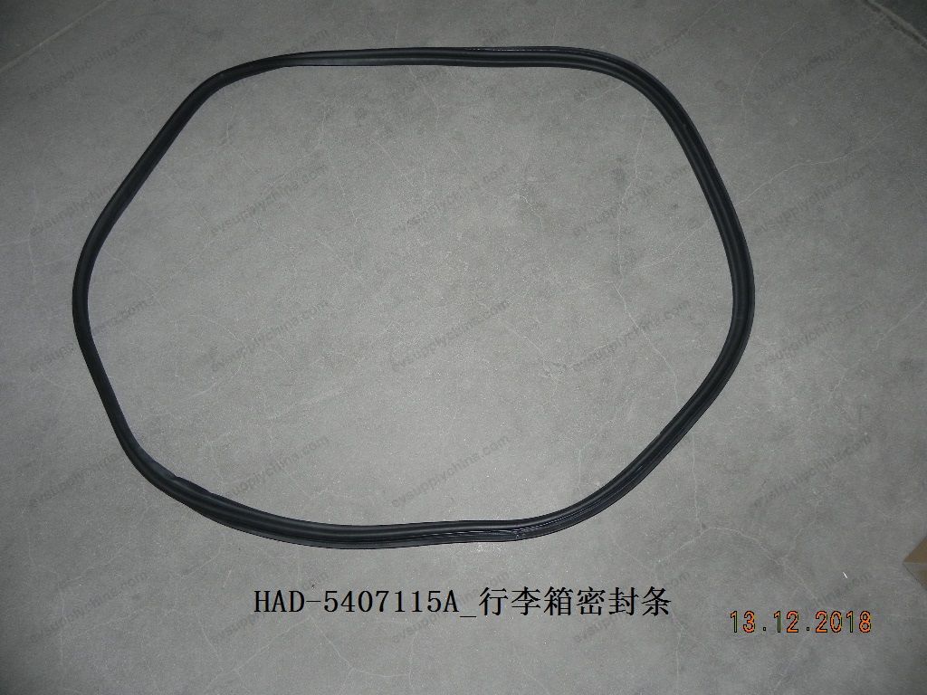 Luggage compartment seal — BYD Qin Plus DM-i (Gen 2)