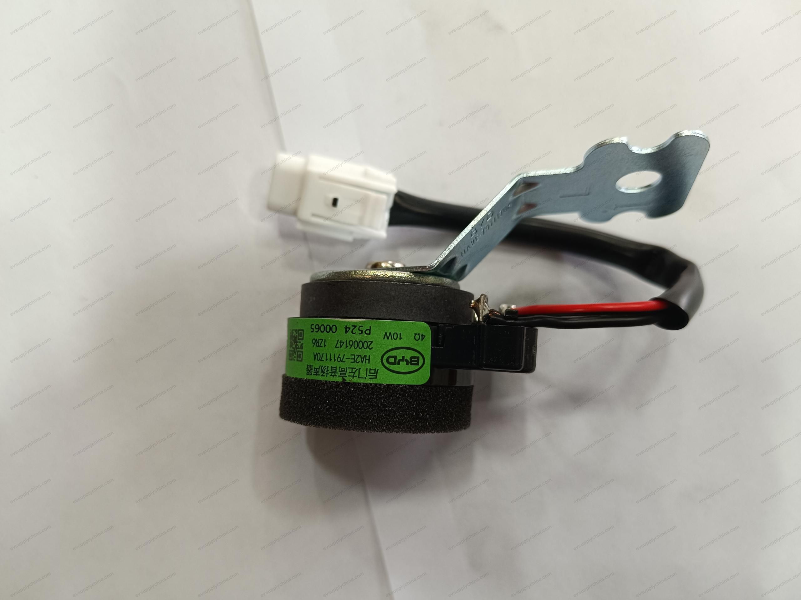 Rear door left tweeter — BYD Qin Plus DM-i (Gen 2)