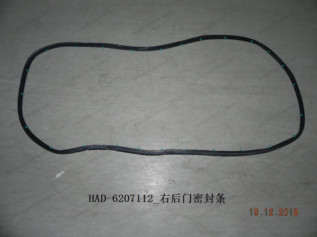 Right rear door sealing strip — BYD Qin Plus DM-i (Gen 2)