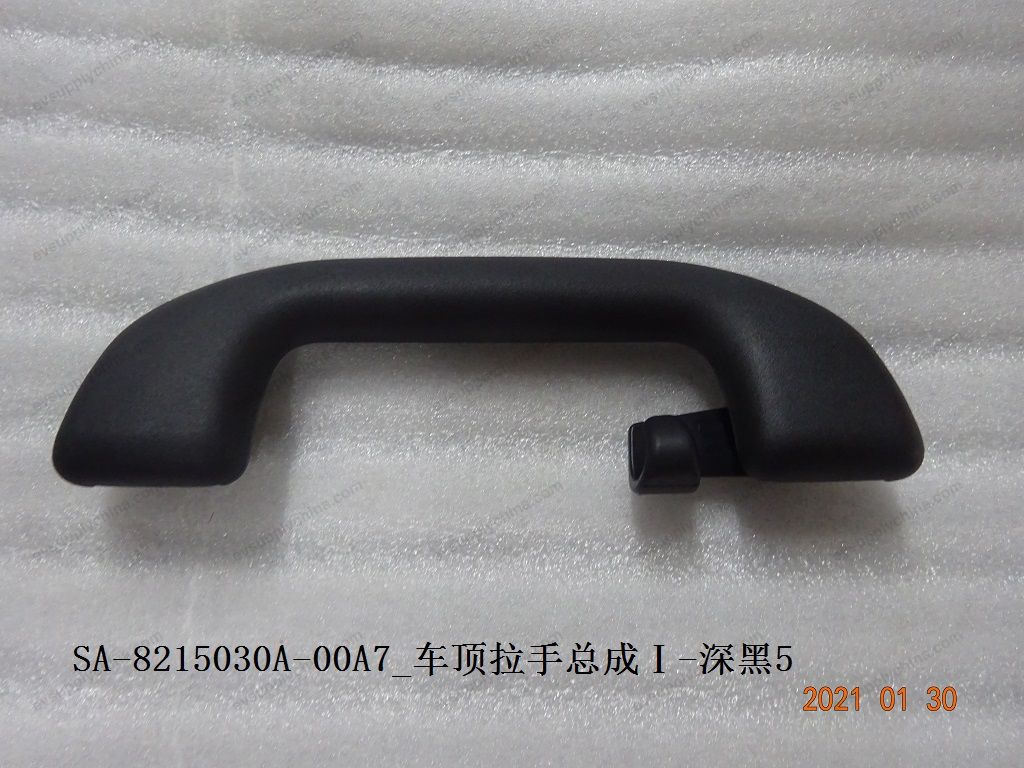 Roof pull — BYD Qin Plus DM-i (Gen 2)