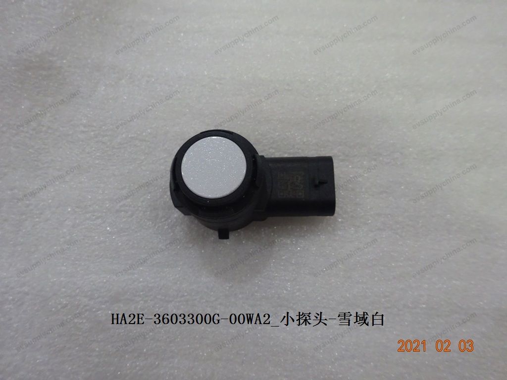 Small probe-Snowy white — BYD Qin Plus DM-i (Gen 2)