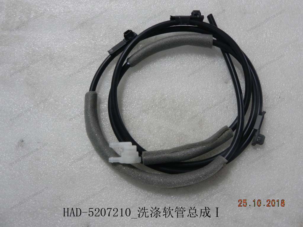 Washing hose assembly Ⅰ — BYD Qin Plus DM-i (Gen 2)