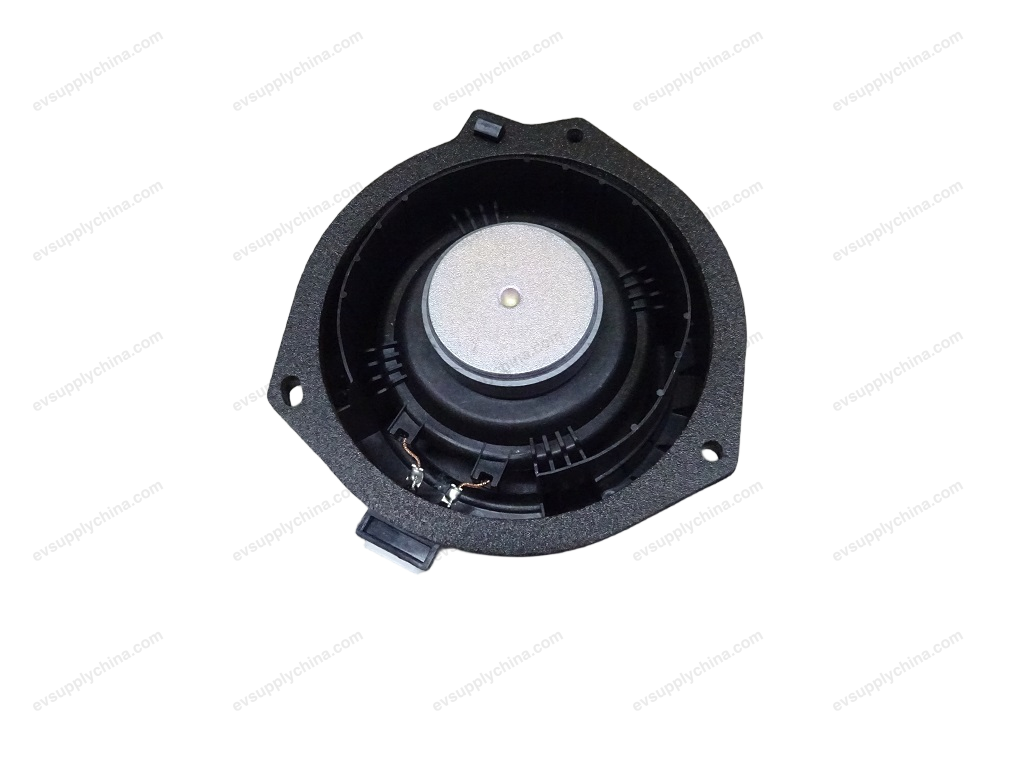 Rear door speakers — BYD Qin Plus DM-i