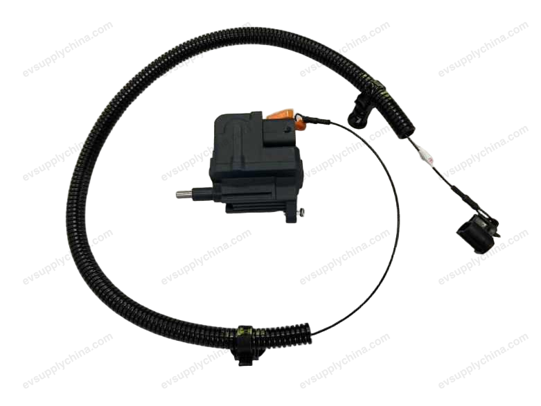 AC electronic lock-National Standard — BYD Seagull