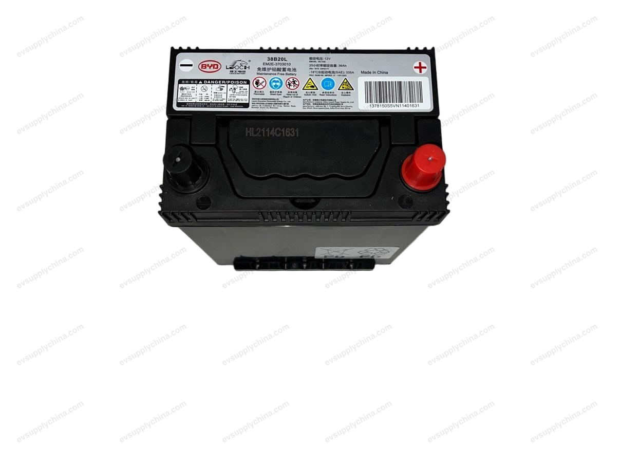 Battery assembly — BYD Seagull