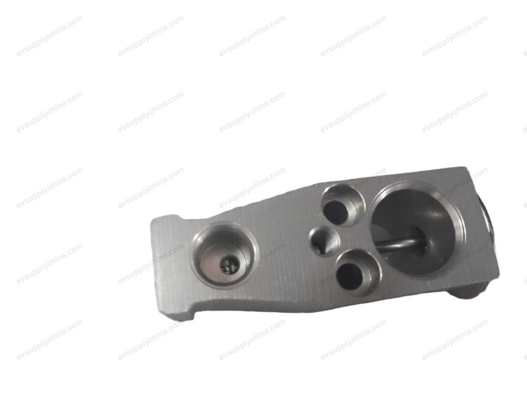 Expansion valve — BYD Seagull
