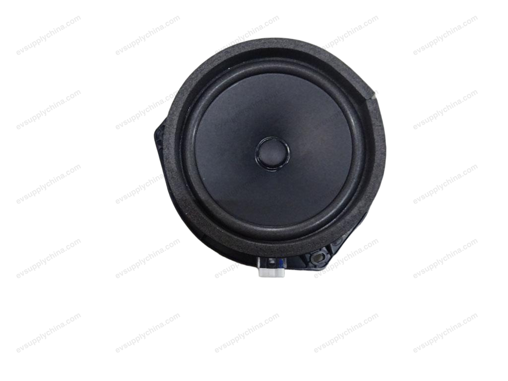 Front door subwoofers — BYD Seal 05 DM-i