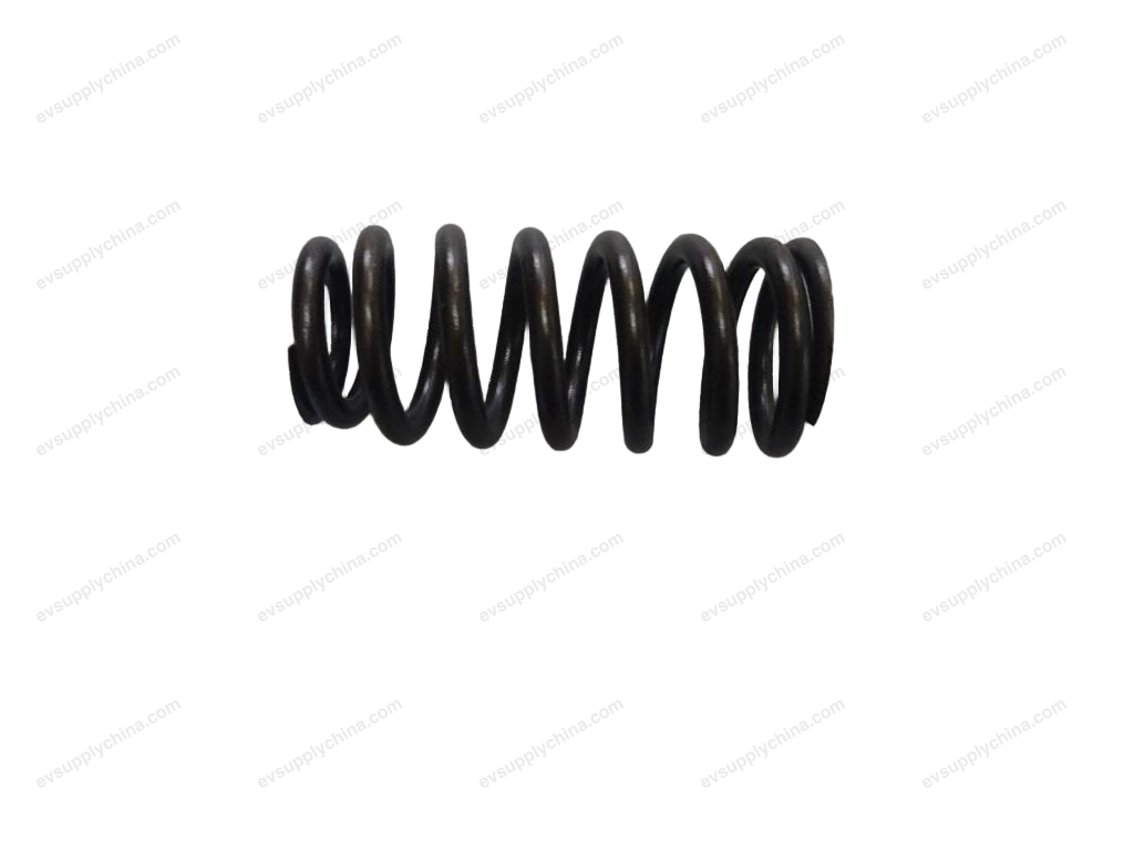Valve springs — BYD Seal 06 DM-i