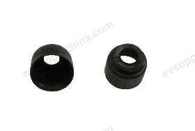 Exhaust valve oil seal