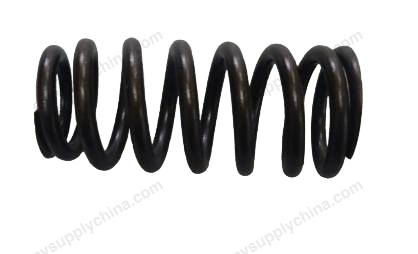 Valve springs