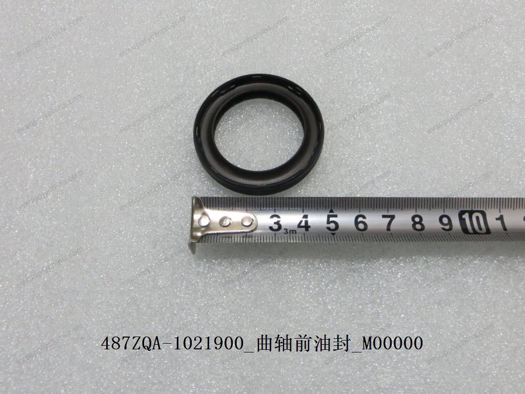 Crankshaft front oil seal — BYD Sealion 05 DM-i