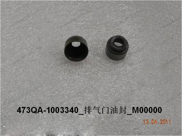 Exhaust valve oil seal — BYD Sealion 05 DM-i