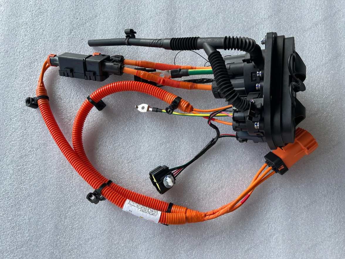 Integrated charging socket assembly — BYD Sealion 05 DM-i