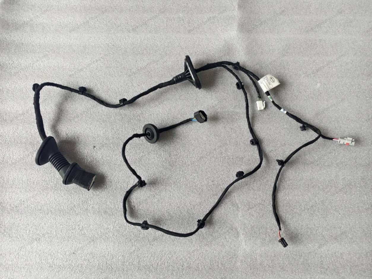 Left rear door wiring harness — BYD Sealion 05 DM-i