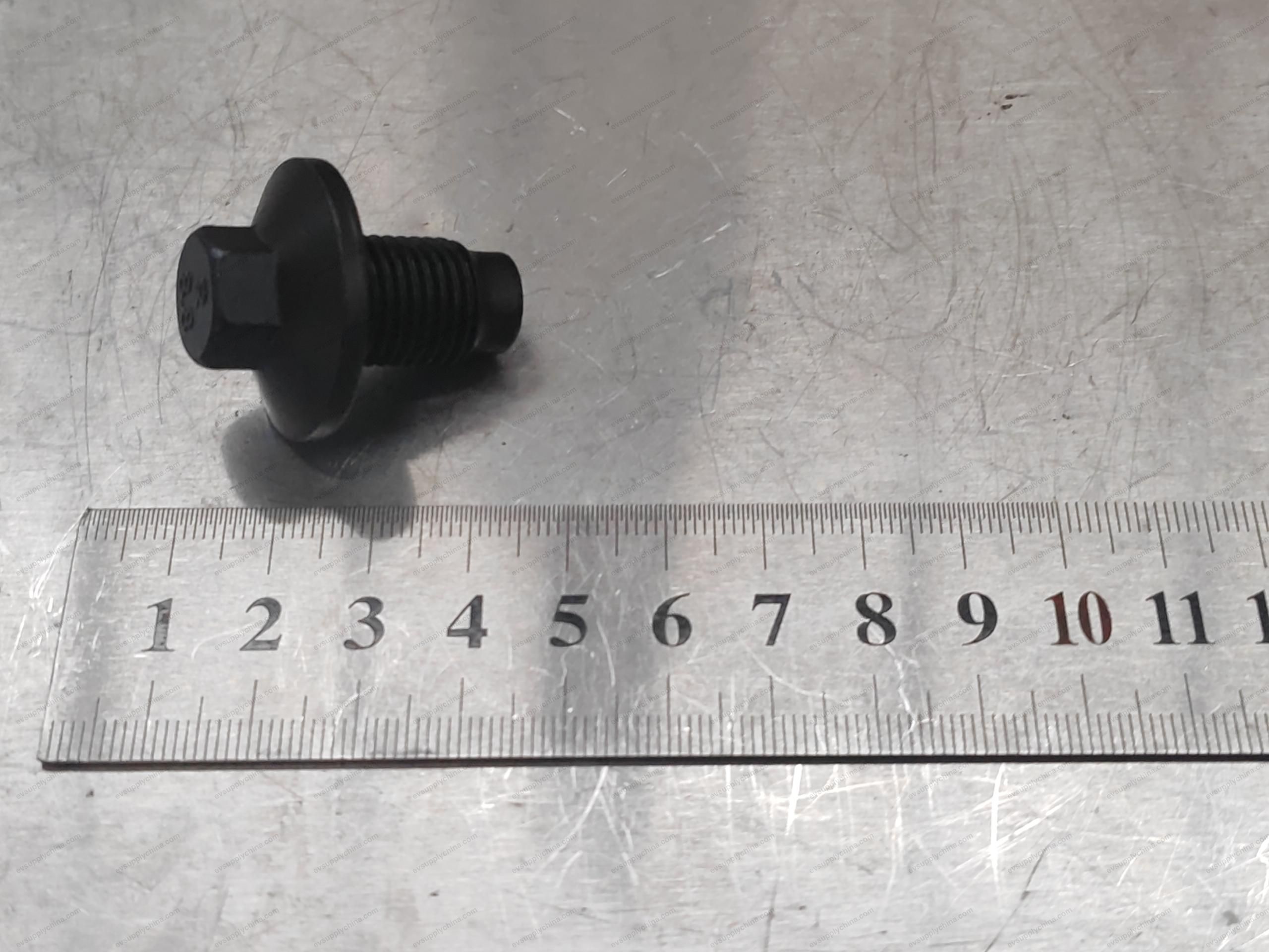Oil drain plug assembly — BYD Sealion 05 DM-i
