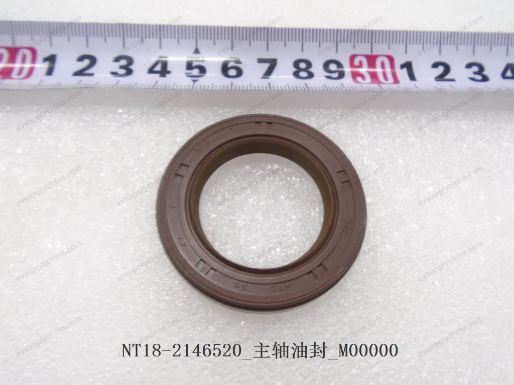 Spindle oil seal