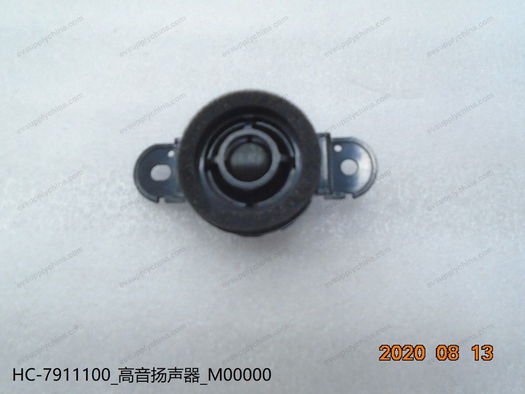 Tweeter — BYD Sealion 05 DM-i