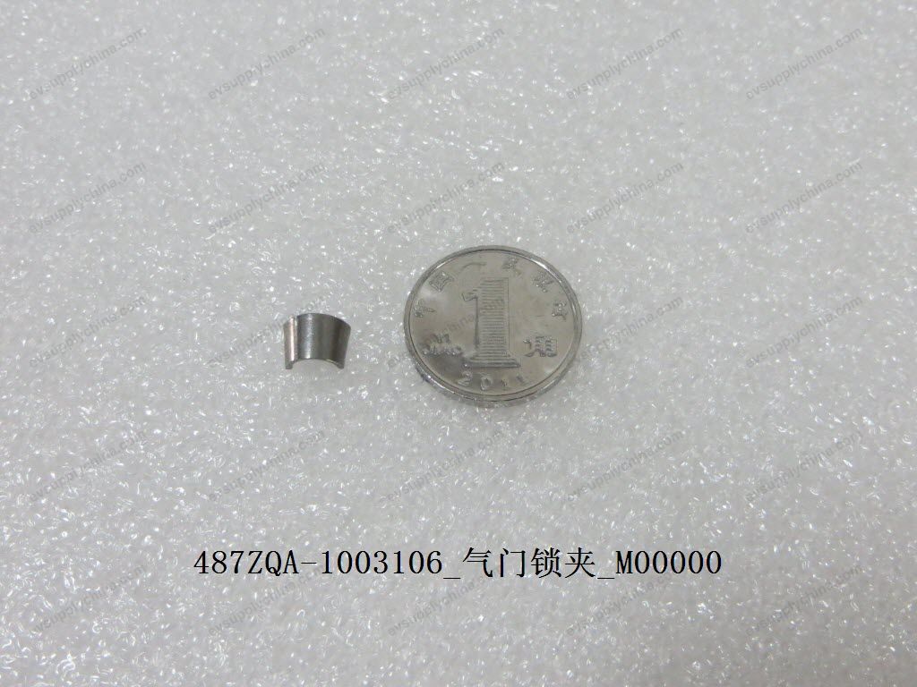 Valve lock clip — BYD Sealion 05 DM-i