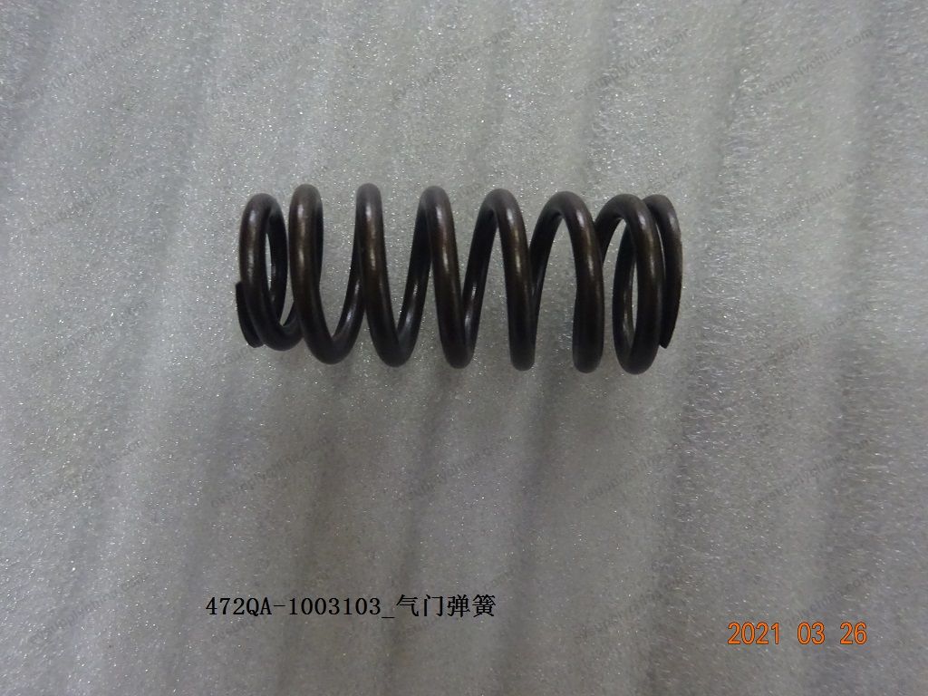 Valve spring — BYD Sealion 05 DM-i