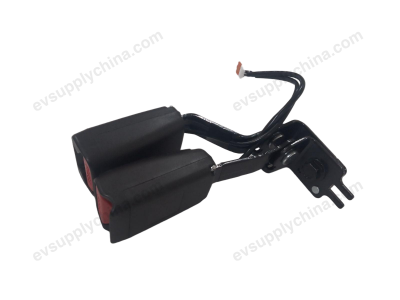 Right rear seatbelt buckle — BYD Sealion 06 EV