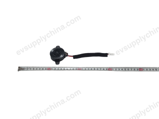 tweeter — BYD Sealion 06 EV