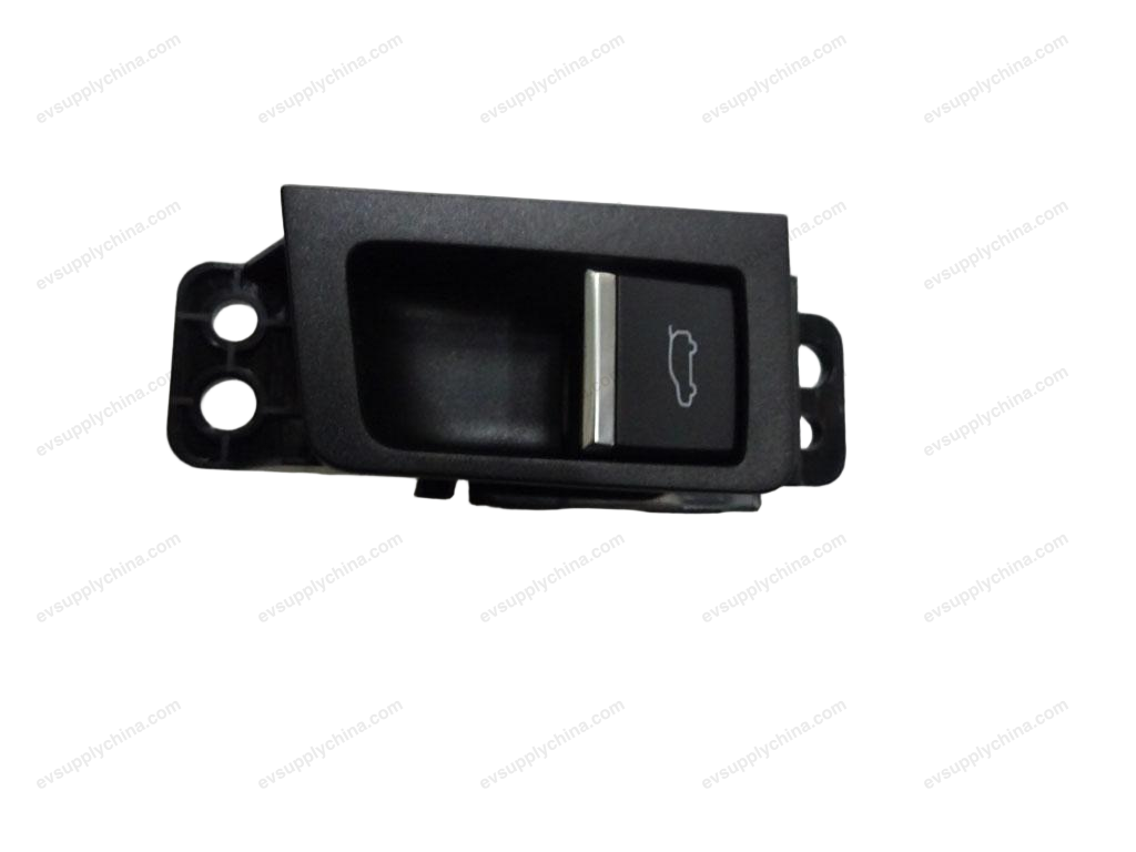 Electric back door opening switch — BYD Song Plus EV (2025)